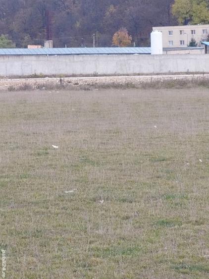 Teren Intravilan 700 mp  Bartolomeu - 3