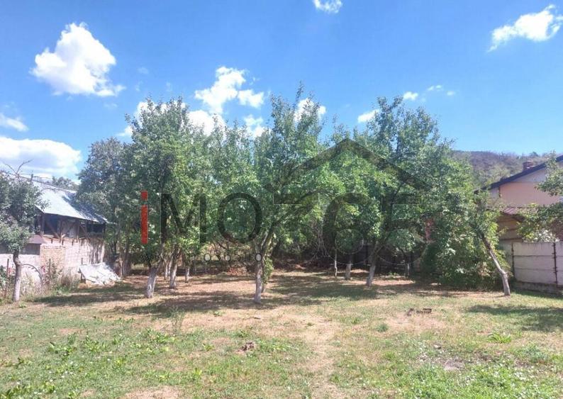 Casa veche si teren Izvorani - toate utilitatile - 7