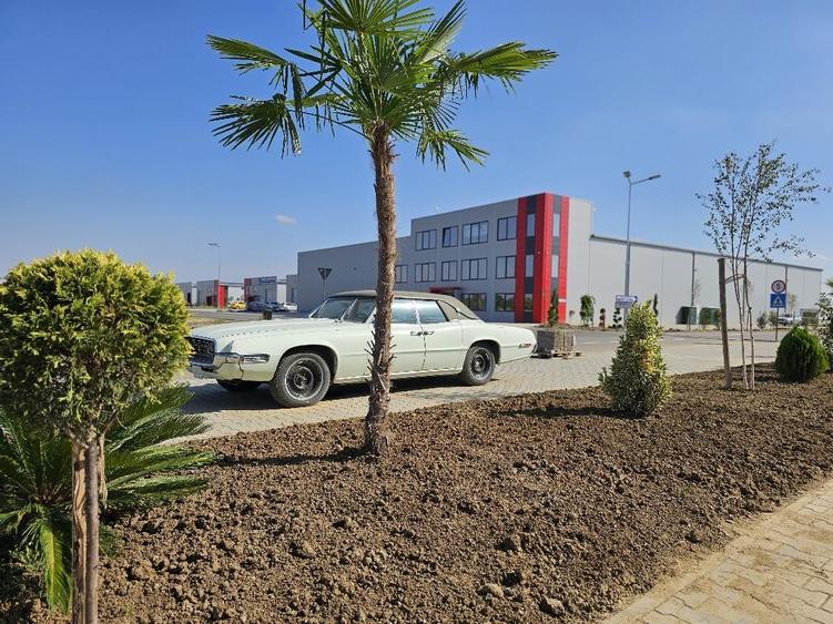 Hala / Spatiu depozitare / Logistica / Showroom - 465 mp SU, birouri 120 mp SU. - 1