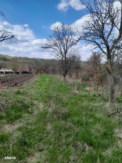 Teren de vanzare in Vaidei - 1