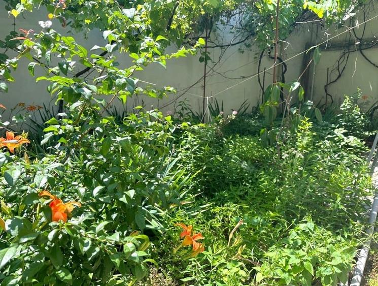 Vila D+P+E+Pod Piata Dorobanti - 5