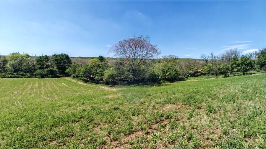 Tere cu constructie de vanzare in Urlati - 5