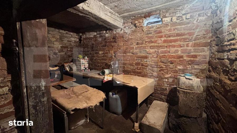 Proprietate cu 2 case, 3.345 mp teren, Balota de Jos, comuna Murgasi - 16