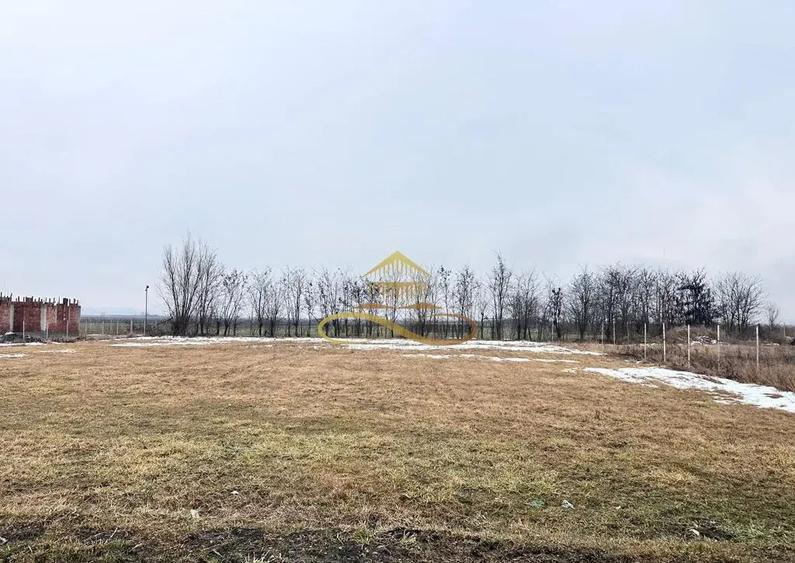 Teren de vanzare Siretu Saucesti Bacau - 4