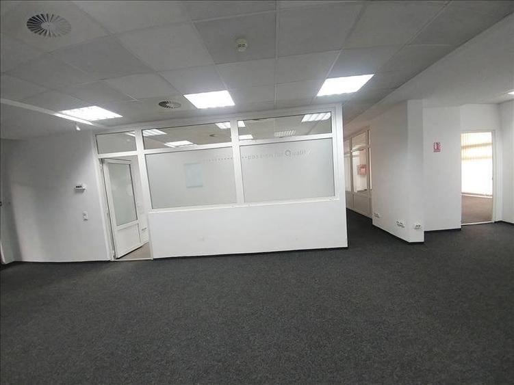 Birouri de inchiriat in zona parcului - 7