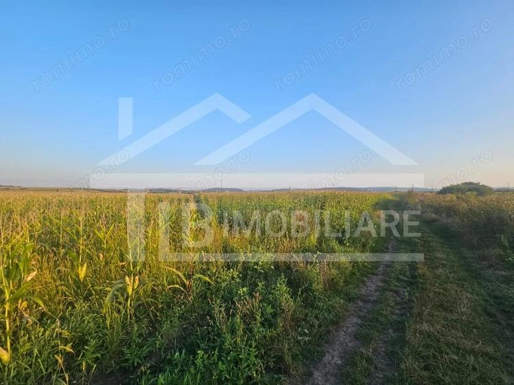 Teren de 1476 mp, în Periferie