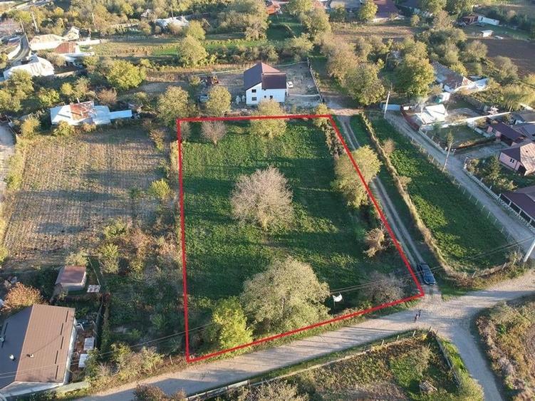 TEREN DE VANZARE BOLOTESTI - 3