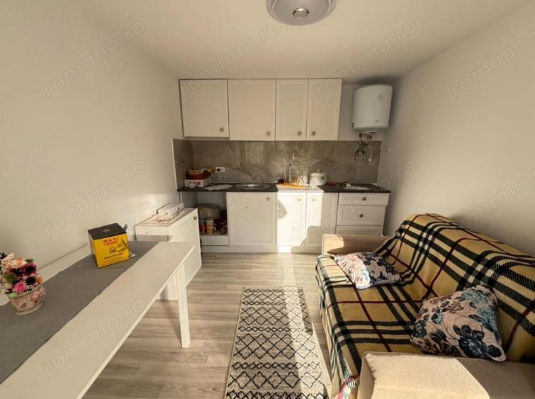 vand teren dumbravita 79000 euro - 6