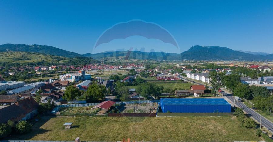 Teren Industrial, 3300 mp, / DJ 112D, Carpinis - 5