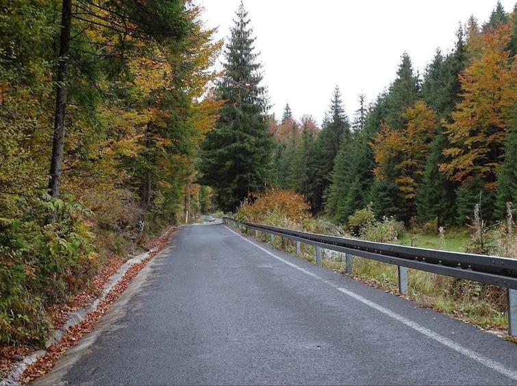 Teren intravilan Arieseni - 1250 mp - langa drum asfaltat - 3