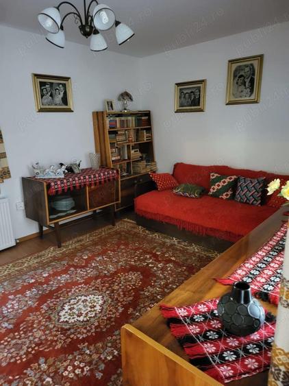 Casa si Teren Tara Lovistei Greblesti - 5