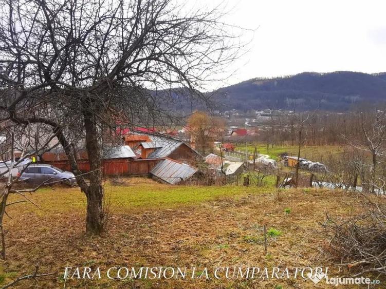 VLADESTI - LOT TEREN BINE AMPLASAT - 7