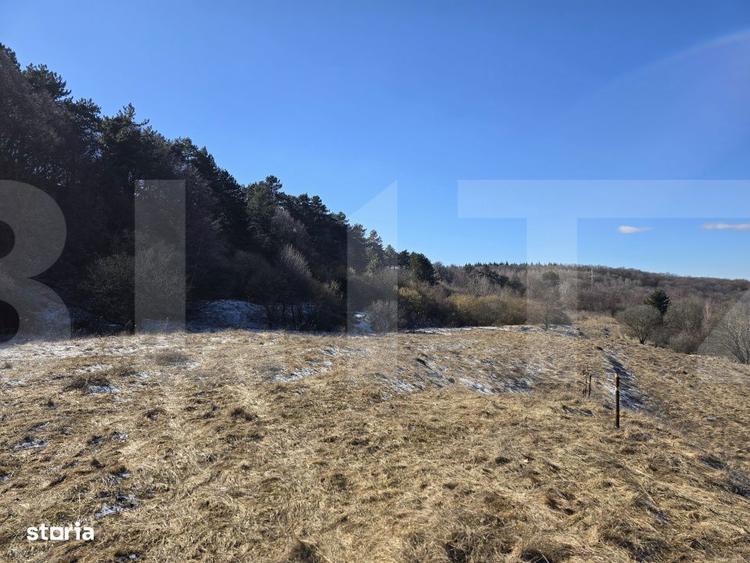 Teren intravilan 4000 mp | Panorama superba | Langa statia meteo - 6