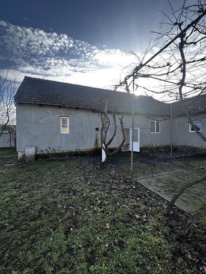 Casa de vanzare in Suplacu de Tinca 1 ha teren - 1