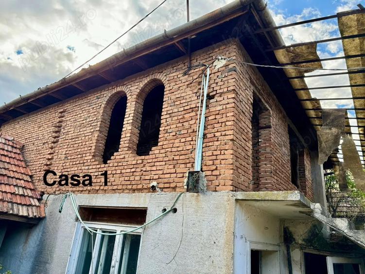 Casa de vanzare la Sebis judet arad - 9