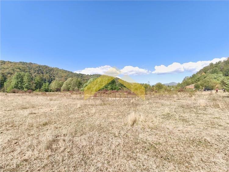 Teren extravilan de 20574 mp, în Corbești
