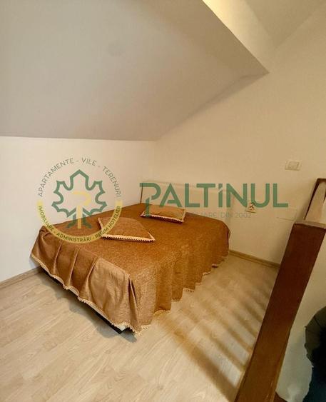Apartament 2 camere de inchiriat Sibiu - 9