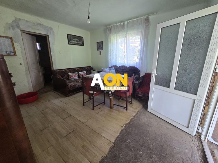 Comision 0%! Casa 3 camere Gura Ariesului, 1500mp Teren - 9