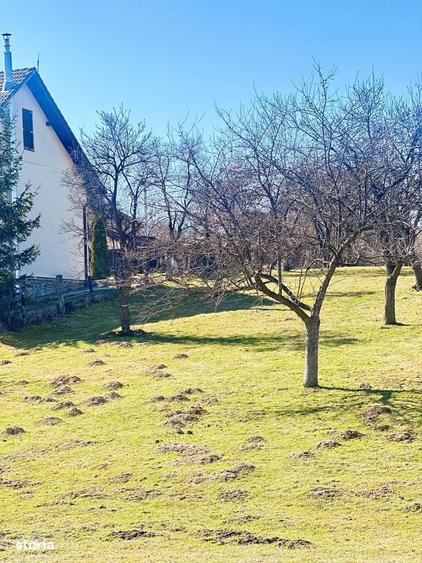 TEREN SOHODOL - UN LOC UNDE NATURA I?I DEVINE PARTENER DE INVESTI?IE - 4