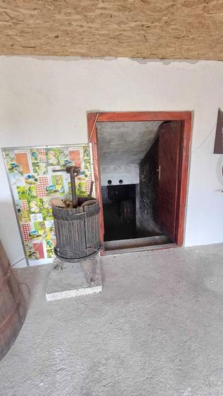 Pivnita cu crama de vanzare - 6