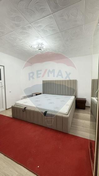 Casa / Vila cu 3 camere de inchiriat in zona Giurgiului - 4