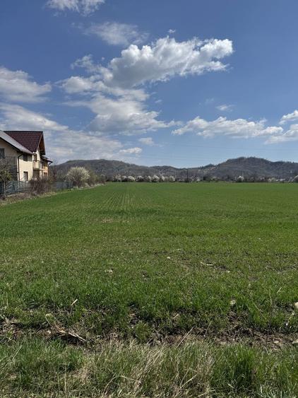 Teren de vanzare - 3