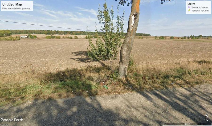 Teren 1 hectar la DN 15B -Deschidere 39 ml - Investitie Comerciala - 5