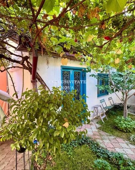 Cartierul Domenii - 1 Mai - Vanzare Vila -  rezidenta , birouri , clinica ! - 7