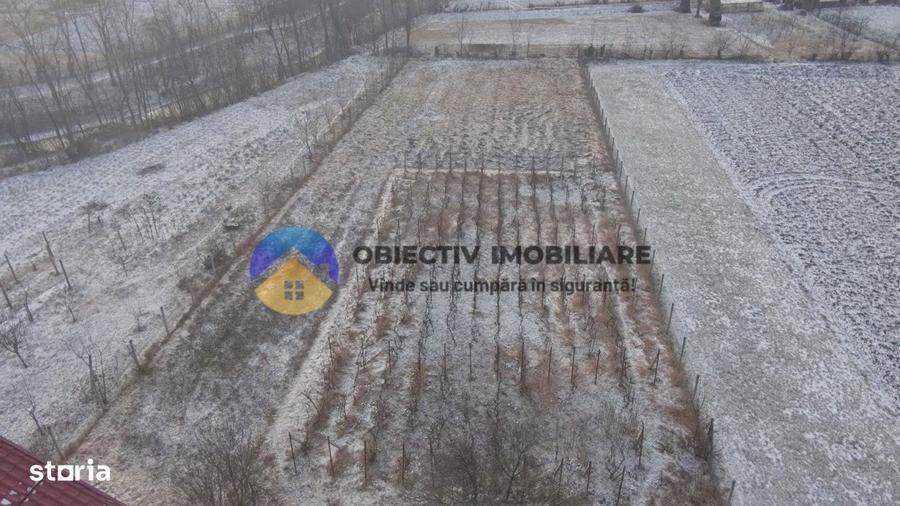 Casa batraneasca + teren 2089 mp , Slobozia - Roznov, jud. Neamt - 4