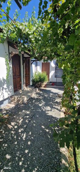 Corbu - Casa de vacanta pe malul Marii Negre - 4 camere - 7