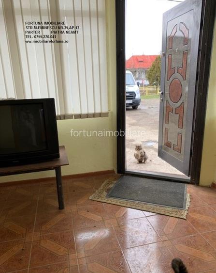 Spatiu comercial birouri/productie, de inchiriat