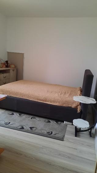 Apartament de vânzare complet renovat  - 4