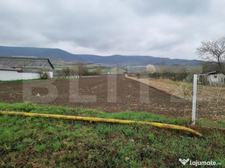 Parcela 800 mp intravilan Arcalia, toate utilitatile - 3