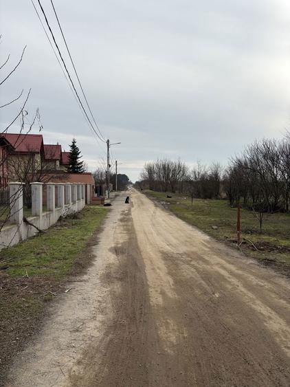 Teren intravilan Peris ~ 1000 mp ~ str Brazii Mici - 1