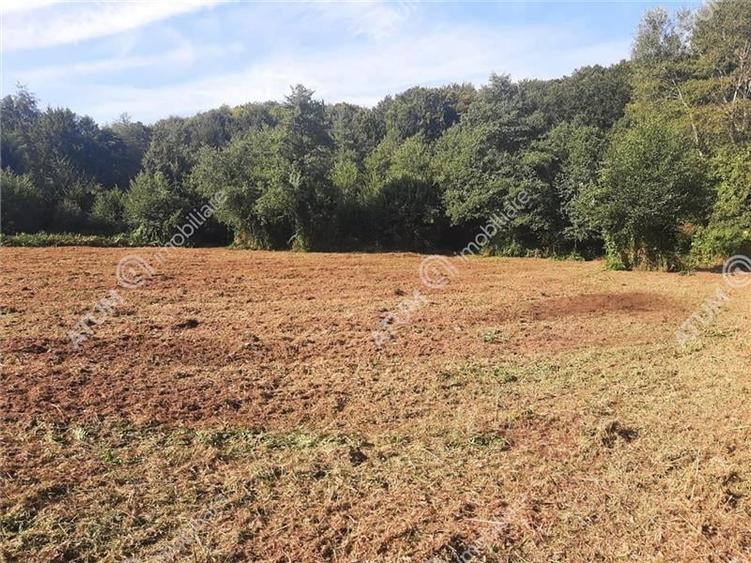 Teren intravilan de vanzare 1856 mp in Avrig zona Valea Avrigului - 1