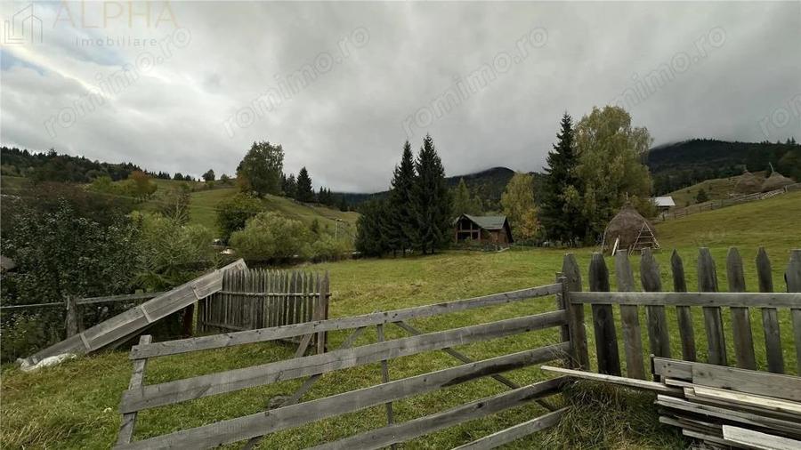 Teren Intravilan de 16.000 mp, Utilitati si Acte in Regula - 5