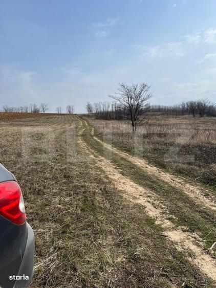 Teren intravilan de vanzare, 9783 mp, Paleu zona Iacului - 6