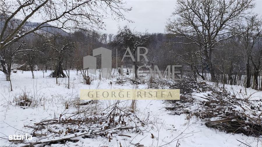Teren 3310 mp + Casa Batraneasca Bobolia - 1