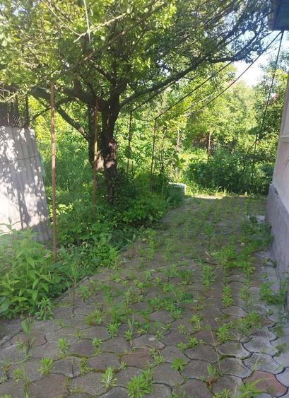 Casă cu 3 camere în Central