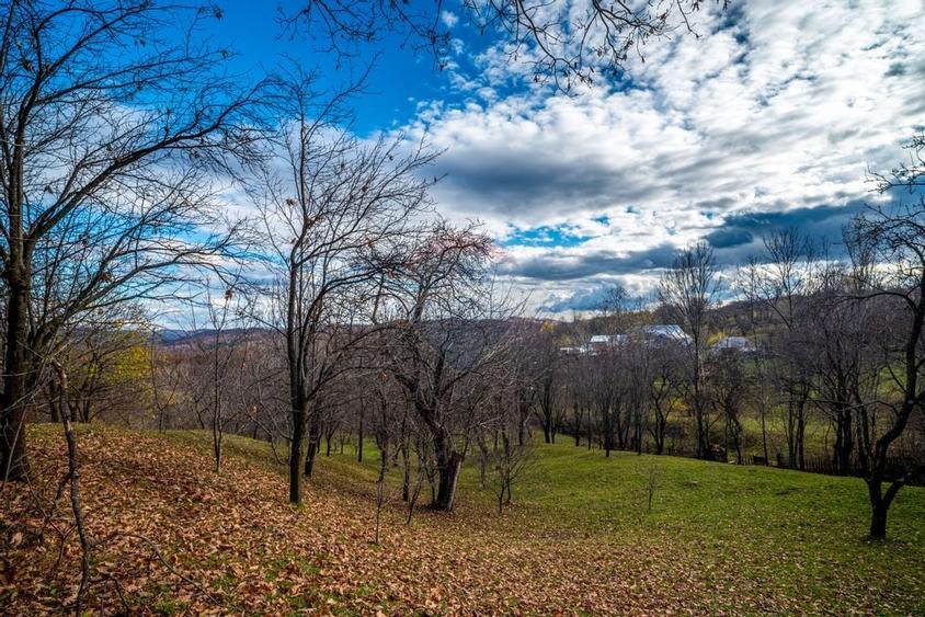 Teren intravilan 4384 mp – Comuna Talea,  județul Prahova - 10