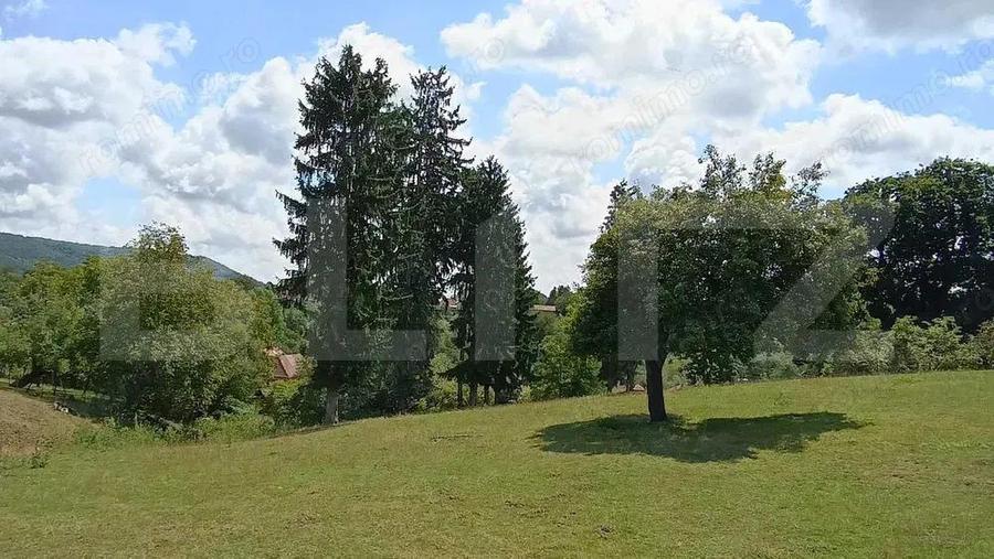 Cabana cu teren intravilan 18.449 mp Paingeni | 7,5 /mp | Vedere panoramica - 5