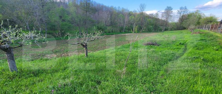 Teren 6650 mp, cu casa nefinalizata de 111 mp, in Nisipoasa - 10