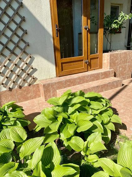 Inchiriere vila 3 camere, cartier Azur, Pipera - 2