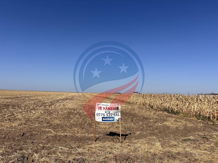 Teren intravilan de vanzare in Pielesti - 1