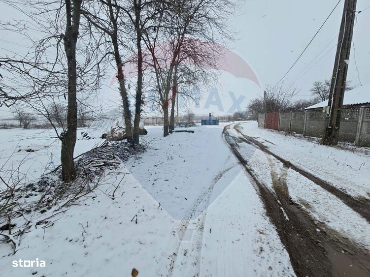Teren 1,992mp Cosoveni / Strada Raion - 4