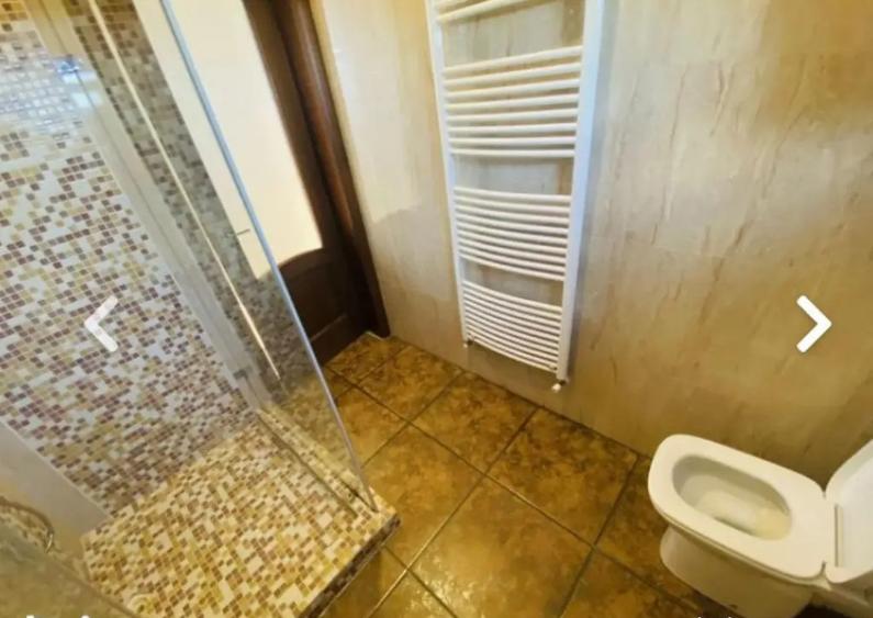 Vila Dobroesti-Fundeni - 13