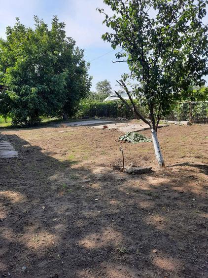 Vand Casa+teren oras Amara, Ialomita - 1