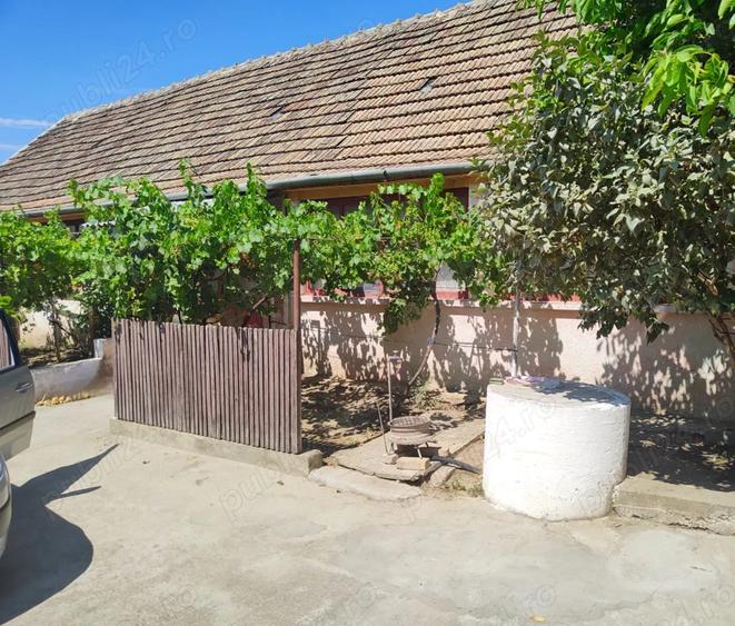 Casa + Curte + Teren arabil generos, Nerau, Teremia Mare, 1596 mp, locuibila imediat - 3