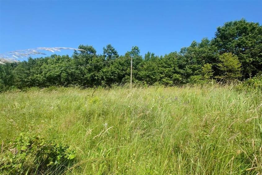 Teren intravilan de vanzare  in Luncoiu de Jos, sat Luncoiu de Sus, 3000 mp - 2