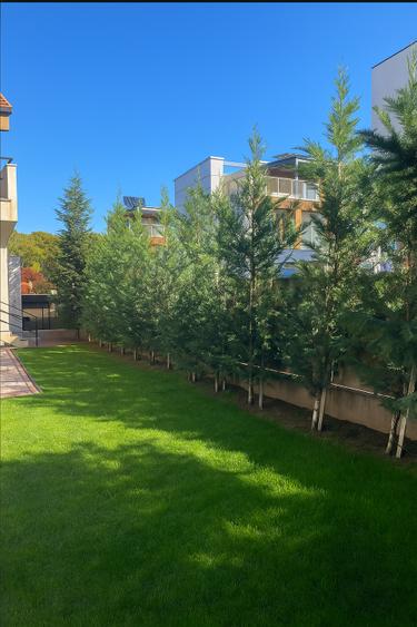 Vila spatioasa cu gradina in Pipera - direct proprietar - 16